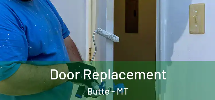 Door Replacement Butte - MT