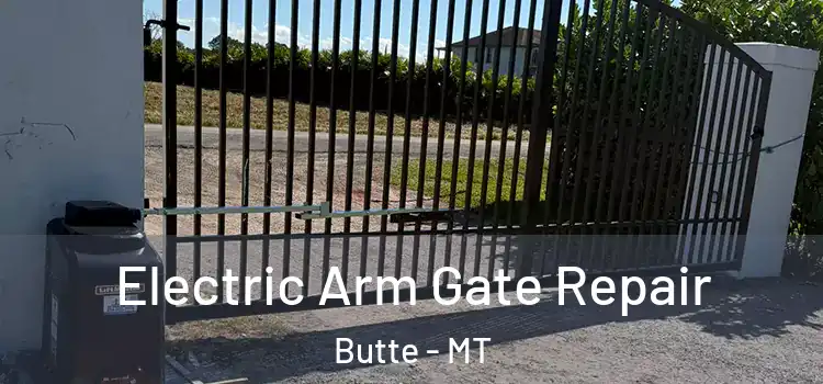 Electric Arm Gate Repair Butte - MT