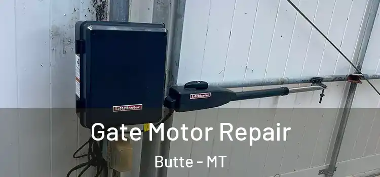Gate Motor Repair Butte - MT