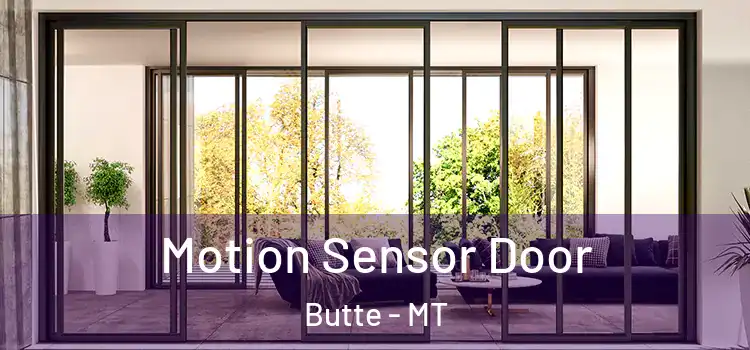 Motion Sensor Door Butte - MT